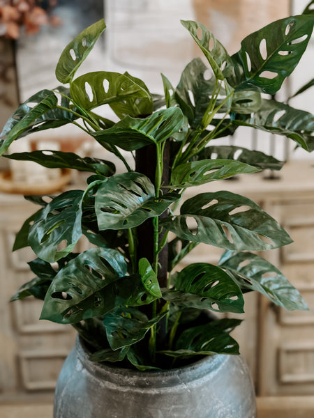 split leaf philodendron fake Split Leaf Philodendron Real Touch Plant – Rustic Lantern & Co