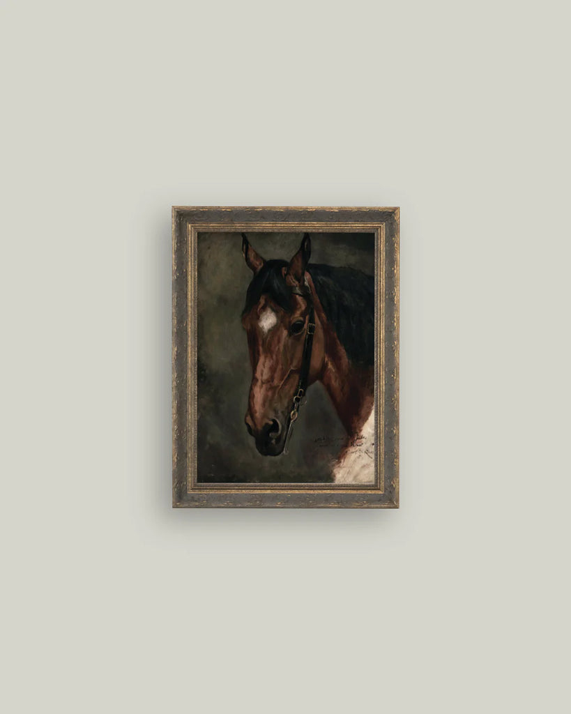 Horse Portrait