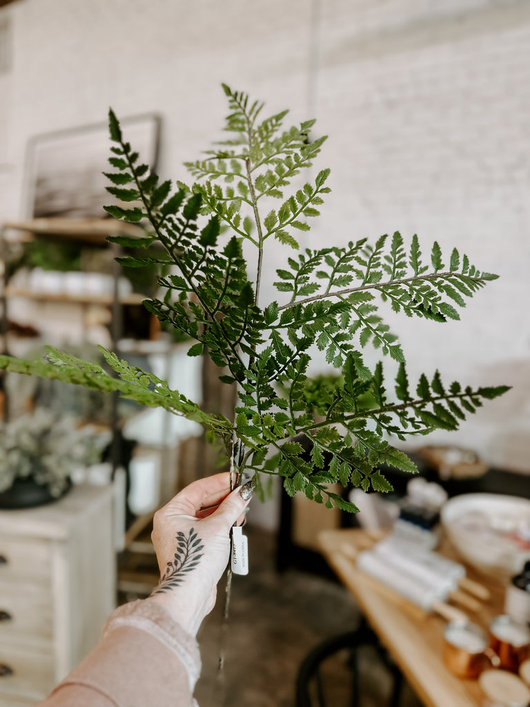 Luther Fern Stem