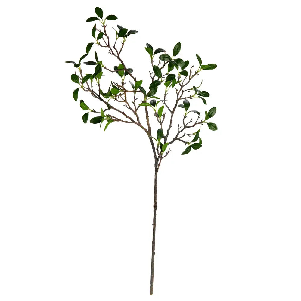 Green Bonsai Branch