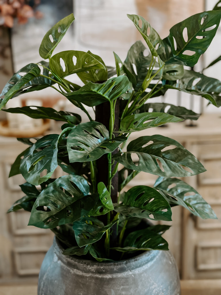 Split Leaf Philodendron Real Touch Plant