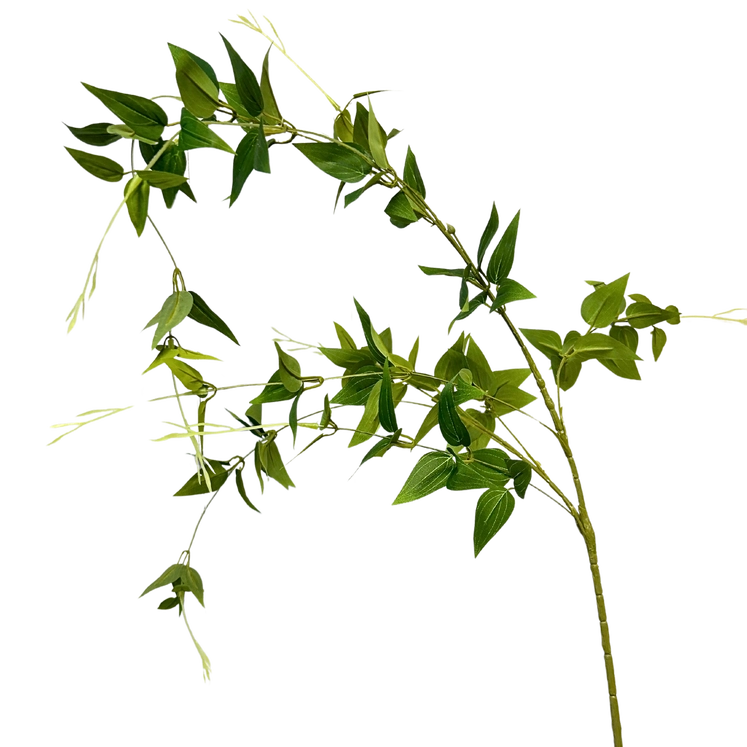 Clematis Leaf Spray