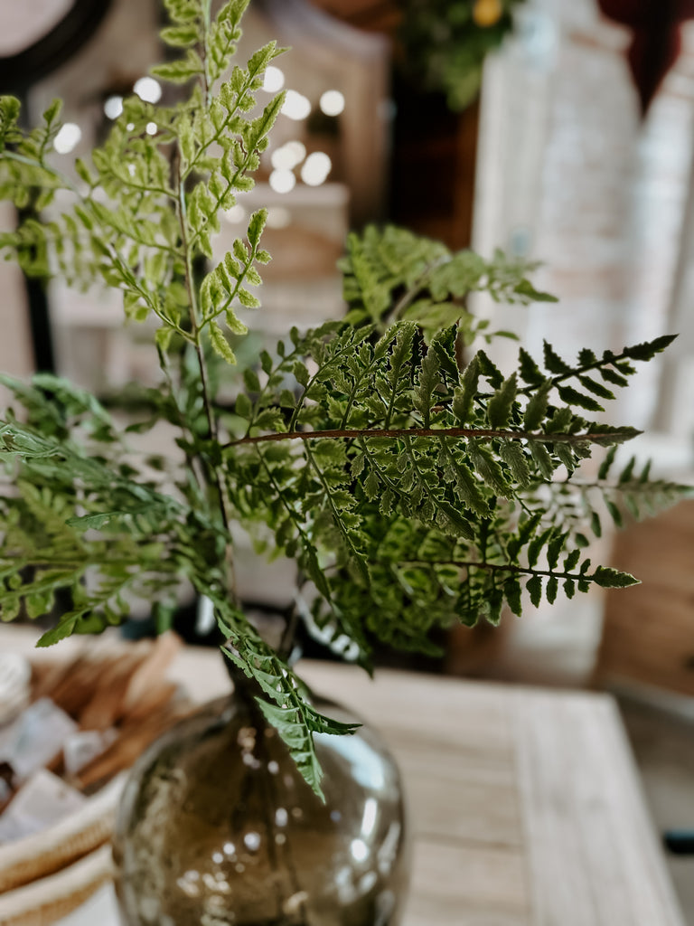 Luther Fern Stem