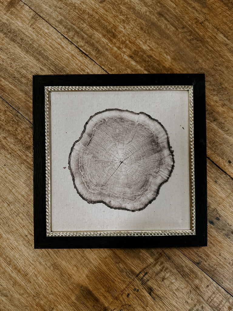 Framed Tree Stump