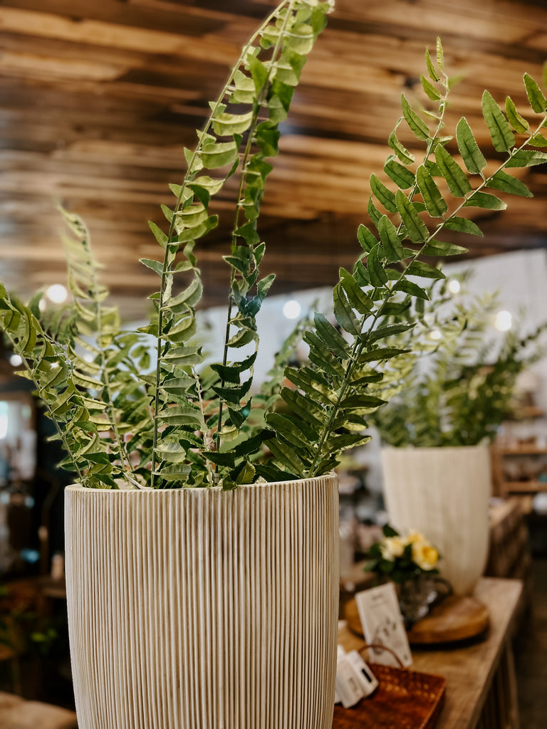 NARROW FERN FROND