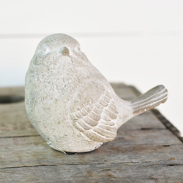 Cast Bird