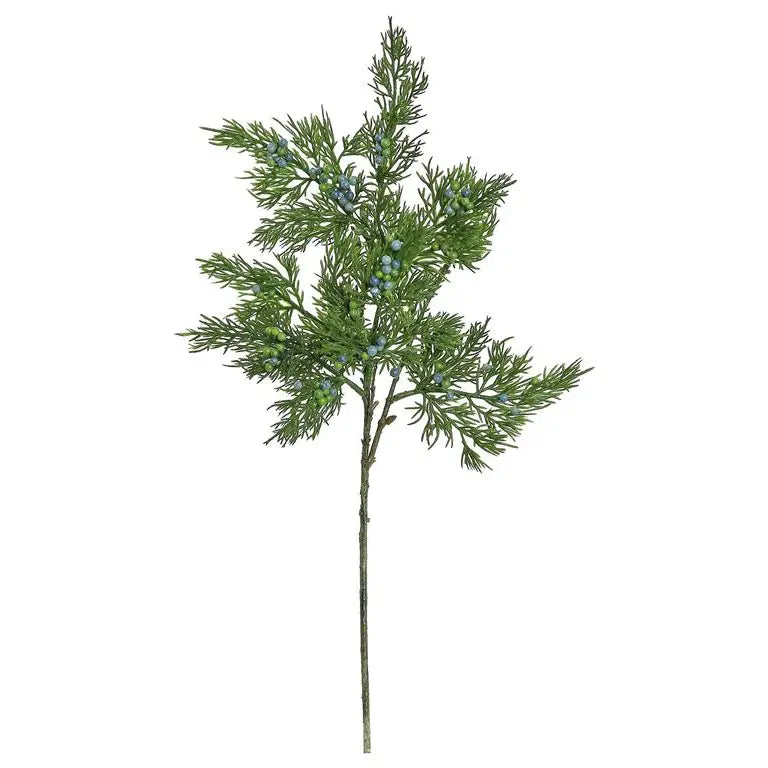 Juniper Pick