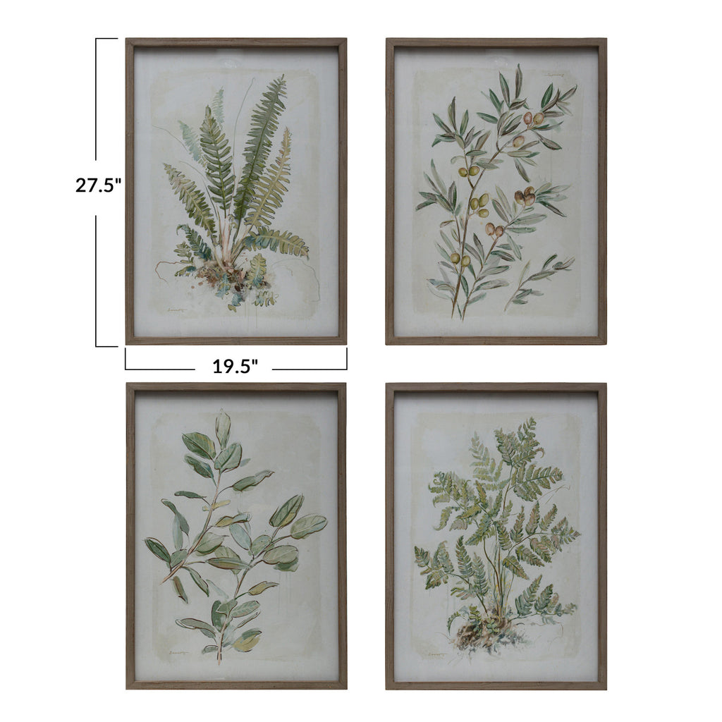 Framed Botanical Print