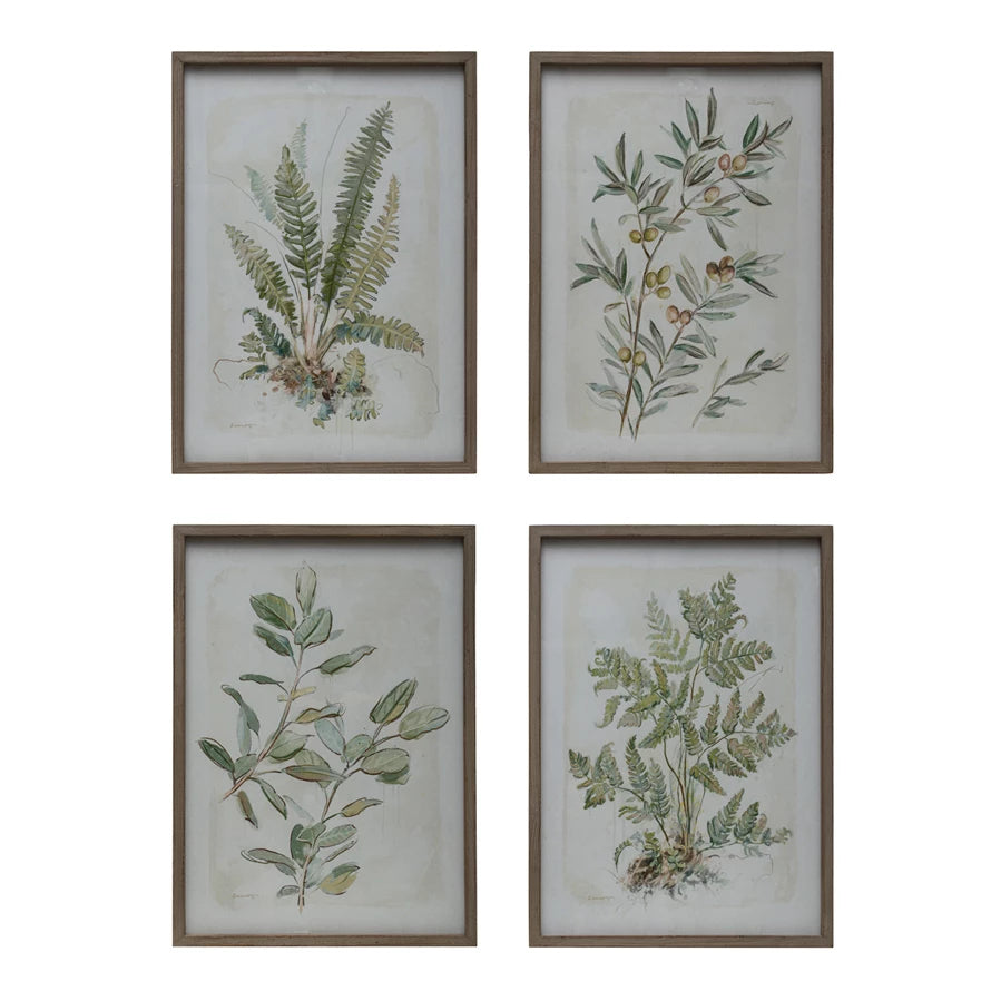 Framed Botanical Print