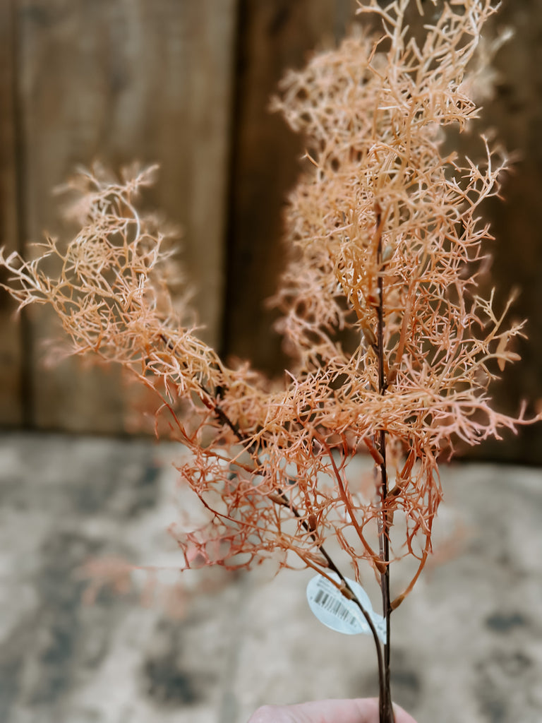 Coral Fern Spray