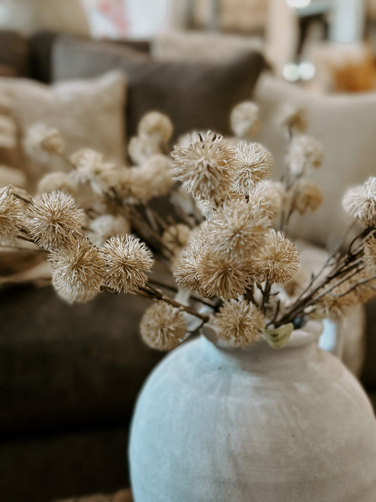 Cream Thistle Stem