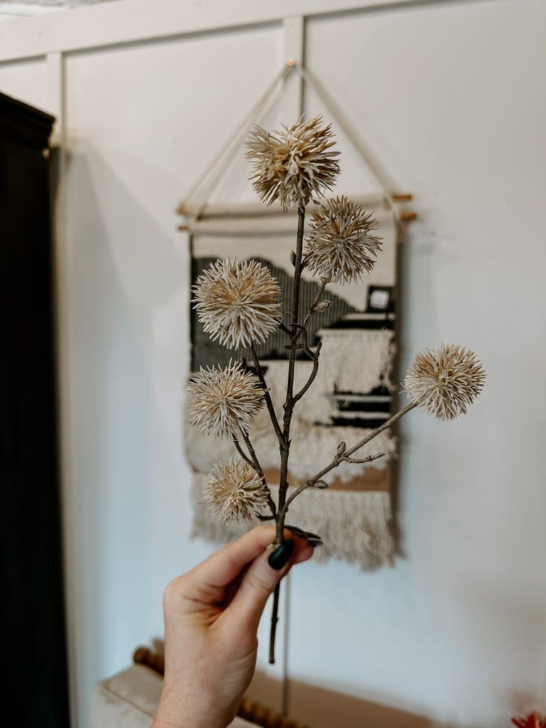 Cream Thistle Stem