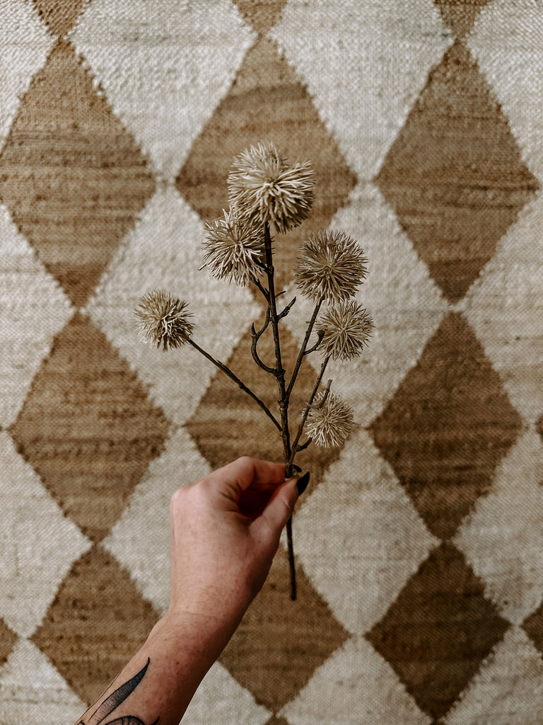 Cream Thistle Stem