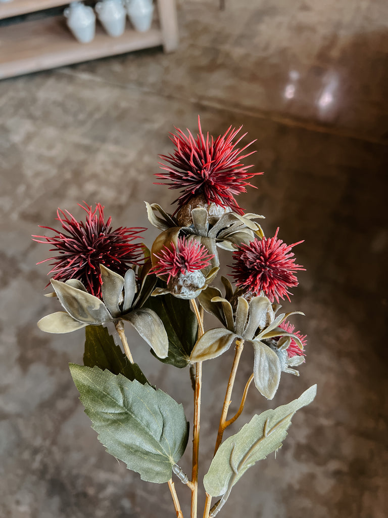 Thistle Flower