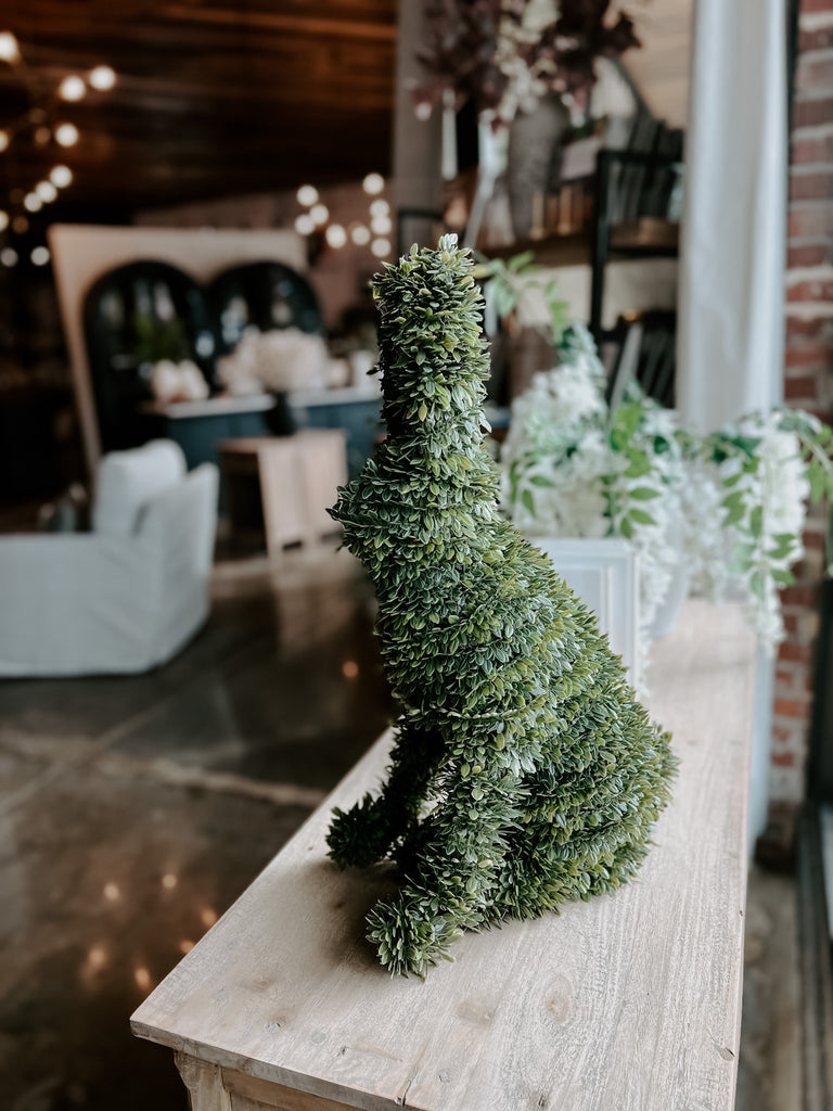 Boxwood Bunny