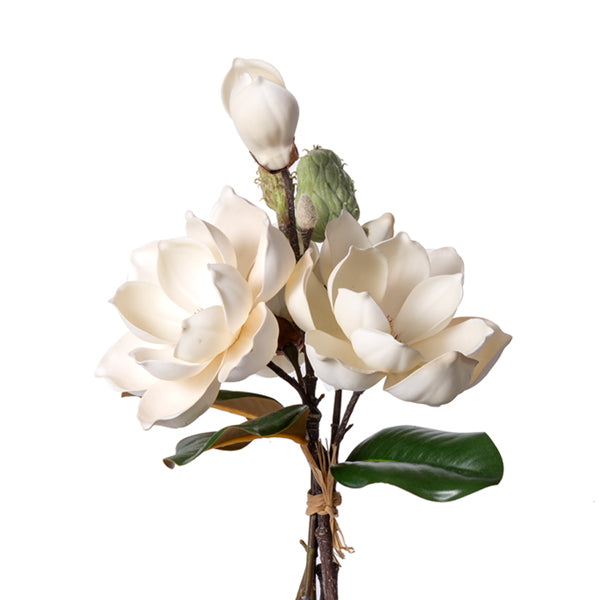 Magnolia Bundle