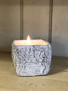 Swan Creek White Woods