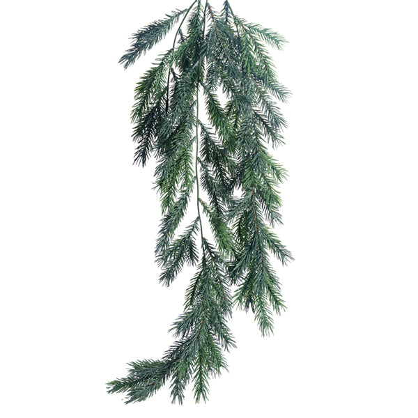 Hanging Spruce