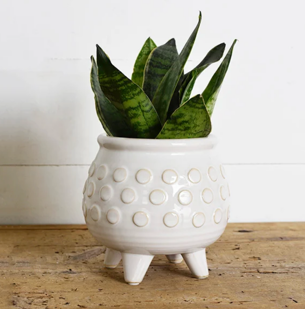 Footed Dot Planter