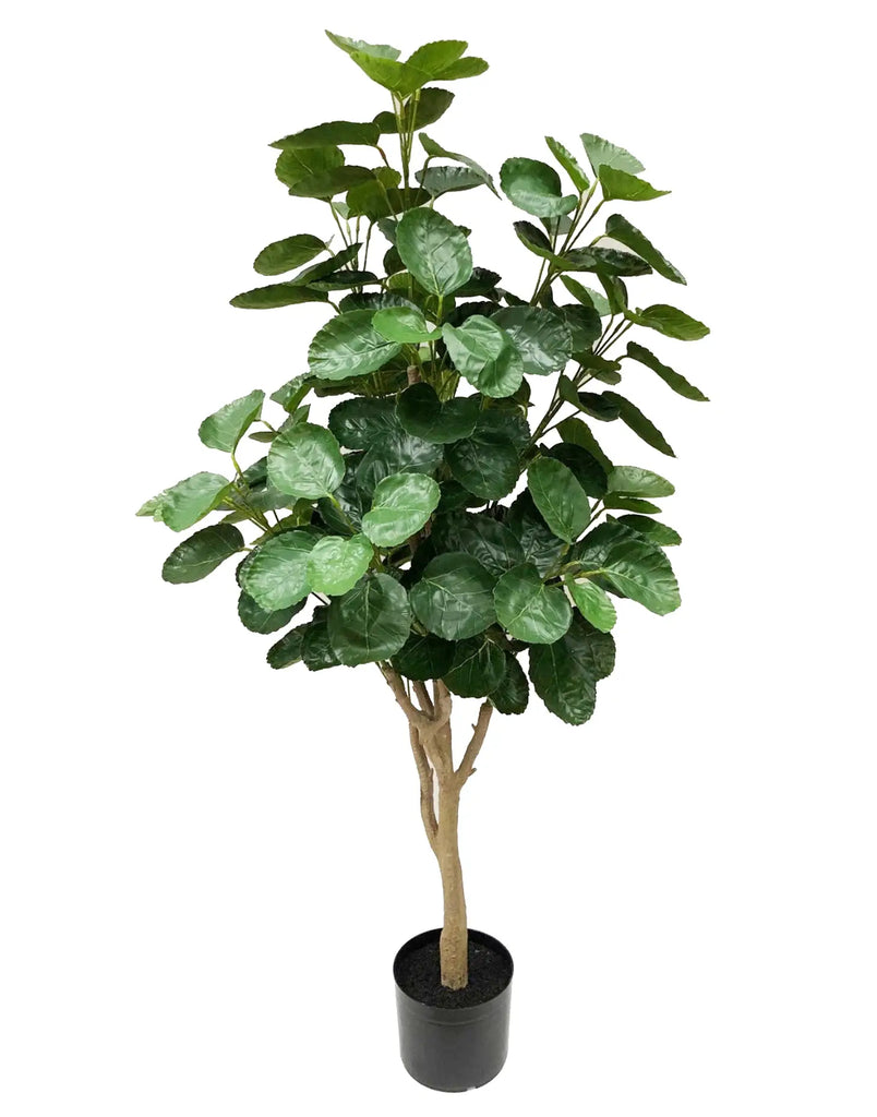 52" Real Touch Money Tree