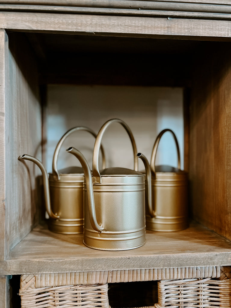 Gold Watering Can