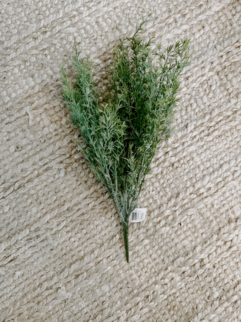 Rosemary Bush