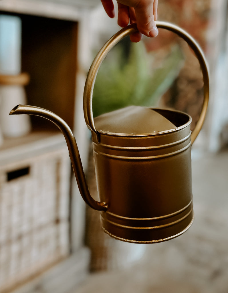 Gold Watering Can