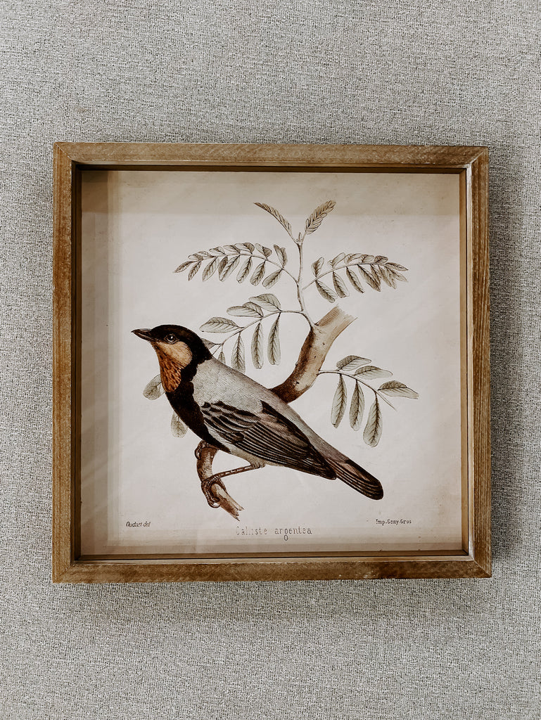 Framed Bird Wall Decor