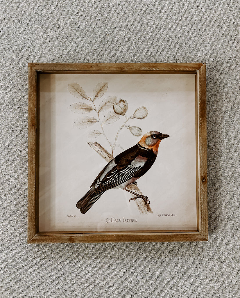 Framed Bird Wall Decor