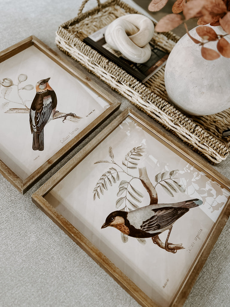 Framed Bird Wall Decor