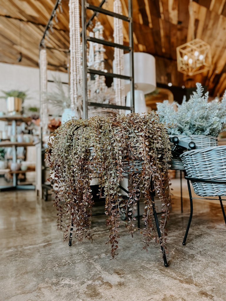 Hanging Baby Grass